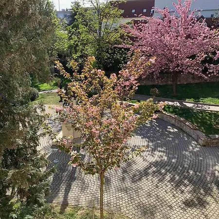 Negy Evszak Apartman- Daire